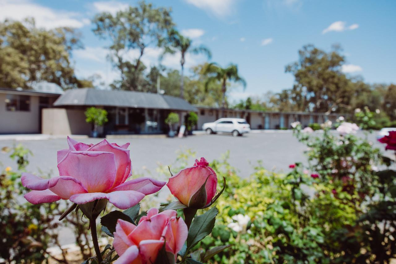 Artesian Spa Motel モーリー エクステリア 写真